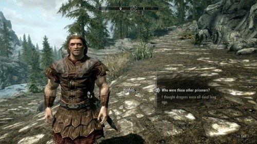 The Elder Scrolls V Skyrim PC Game